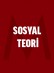 Sosyal Teori